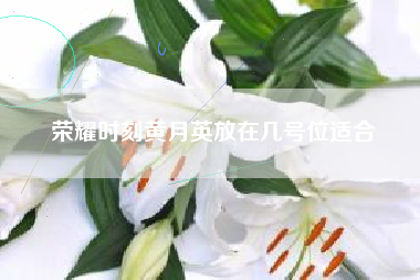 荣耀时刻黄月英放在几号位适合