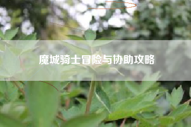 魔城骑士冒险与协助攻略