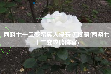 西游七十二变蛮族入侵玩法攻略(西游七十二变攻略阵容)