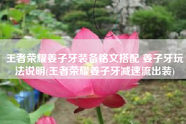 王者荣耀姜子牙装备铭文搭配 姜子牙玩法说明(王者荣耀姜子牙减速流出装)