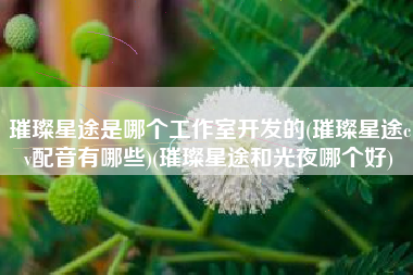璀璨星途是哪个工作室开发的(璀璨星途cv配音有哪些)(璀璨星途和光夜哪个好)