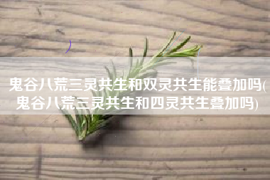鬼谷八荒三灵共生和双灵共生能叠加吗(鬼谷八荒三灵共生和四灵共生叠加吗)