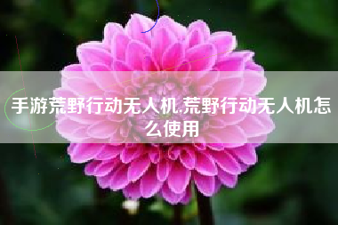 手游荒野行动无人机,荒野行动无人机怎么使用