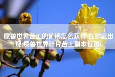 魔兽世界苦工的矿镐怎么获得 在哪里出现(魔兽世界碎片苦工副本位置)