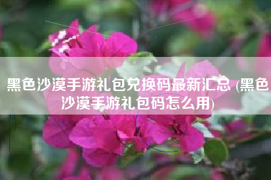黑色沙漠手游礼包兑换码最新汇总 (黑色沙漠手游礼包码怎么用)