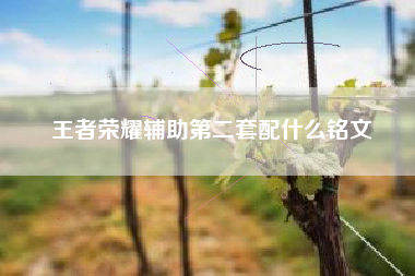 王者荣耀辅助第二套配什么铭文
