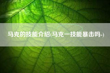 马克的技能介绍(马克一技能暴击吗-)