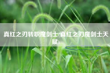 真红之刃转职魔剑士(真红之刃魔剑士天赋)