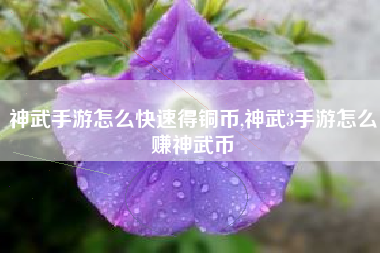 神武手游怎么快速得铜币,神武3手游怎么赚神武币