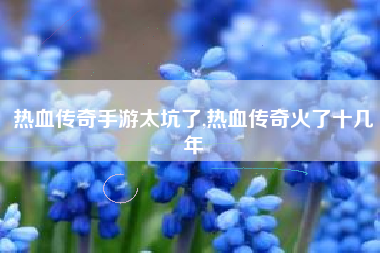 热血传奇手游太坑了,热血传奇火了十几年