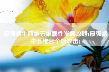 最强蜗牛四维五维属性发展攻略(最强蜗牛五维哪个加攻击)