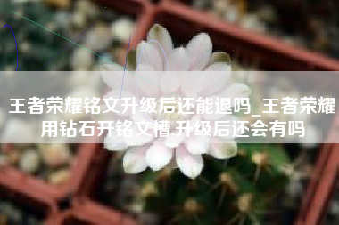 王者荣耀铭文升级后还能退吗_王者荣耀用钻石开铭文槽,升级后还会有吗