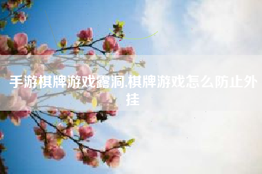 手游棋牌游戏露洞,棋牌游戏怎么防止外挂