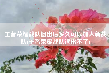 王者荣耀战队退出后多久可以加入新战队(王者荣耀战队退出不了)