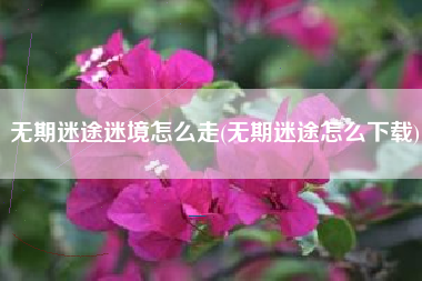 无期迷途迷境怎么走(无期迷途怎么下载)