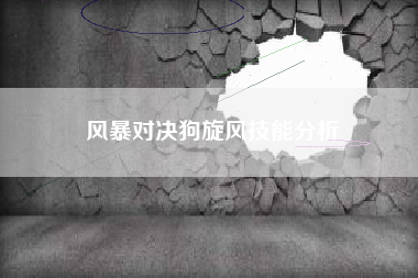 风暴对决狗旋风技能分析
