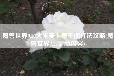 魔兽世界9.27大米麦卡贡车间打法攻略(魔兽世界9.27更新内容)