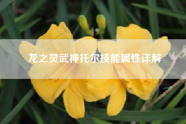 龙之灵武神托尔技能属性详解