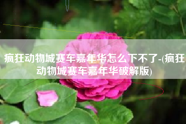 疯狂动物城赛车嘉年华怎么下不了-(疯狂动物城赛车嘉年华破解版)