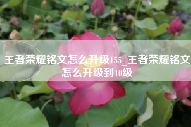 王者荣耀铭文怎么升级155_王者荣耀铭文怎么升级到10级