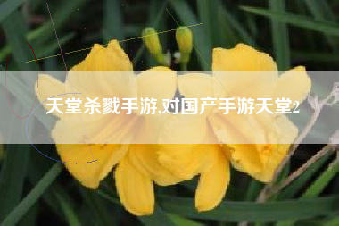 天堂杀戮手游,对国产手游天堂2