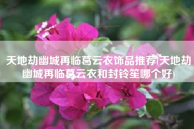 天地劫幽城再临葛云衣饰品推荐(天地劫幽城再临葛云衣和封铃笙哪个好)