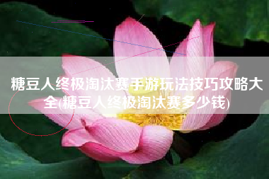糖豆人终极淘汰赛手游玩法技巧攻略大全(糖豆人终极淘汰赛多少钱)