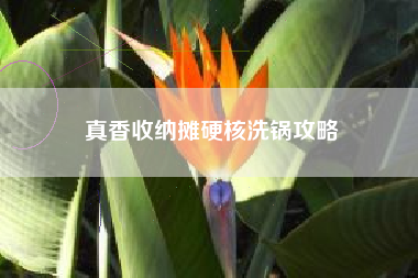 真香收纳摊硬核洗锅攻略