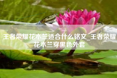 王者荣耀花木兰适合什么铭文_王者荣耀花木兰穿黑色外套