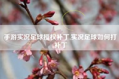 手游实况足球授权补丁,实况足球如何打补丁