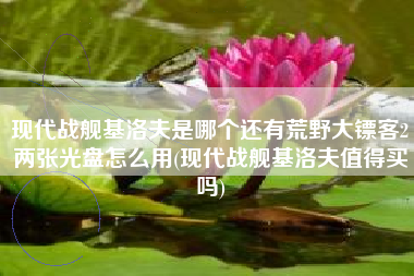 现代战舰基洛夫是哪个还有荒野大镖客2两张光盘怎么用(现代战舰基洛夫值得买吗)