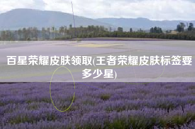 百星荣耀皮肤领取(王者荣耀皮肤标签要多少星)