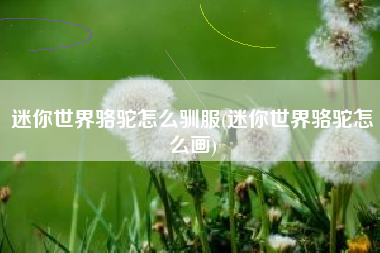 迷你世界骆驼怎么驯服(迷你世界骆驼怎么画)