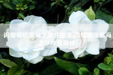 闪耀暖暖星海之梦在哪里(闪耀暖暖星海之梦仲夏森林)