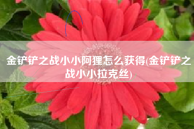 金铲铲之战小小阿狸怎么获得(金铲铲之战小小拉克丝)