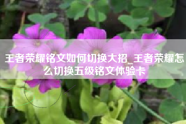 王者荣耀铭文如何切换大招_王者荣耀怎么切换五级铭文体验卡