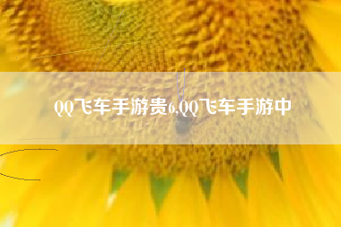 QQ飞车手游贵6,QQ飞车手游中