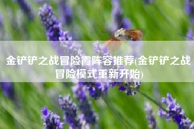 金铲铲之战冒险霞阵容推荐(金铲铲之战冒险模式重新开始)