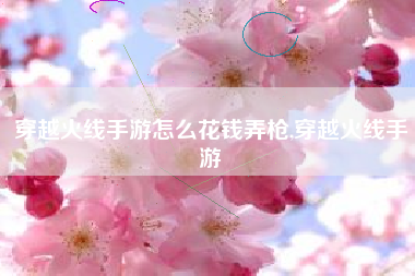 穿越火线手游怎么花钱弄枪,穿越火线手游