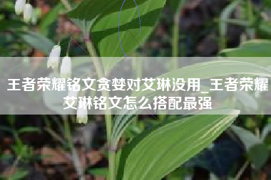 王者荣耀铭文贪婪对艾琳没用_王者荣耀艾琳铭文怎么搭配最强