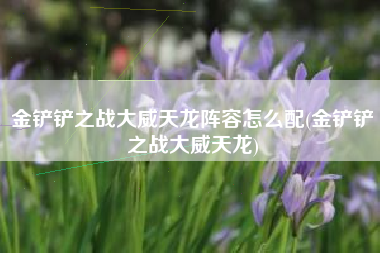 金铲铲之战大威天龙阵容怎么配(金铲铲之战大威天龙)