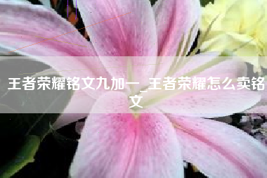 王者荣耀铭文九加一_王者荣耀怎么卖铭文
