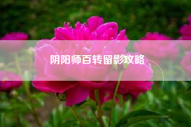 阴阳师百转留影攻略
