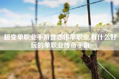 超变单职业手游曾志伟单职业,有什么好玩的单职业传奇手游