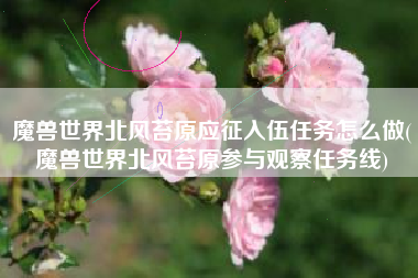 魔兽世界北风苔原应征入伍任务怎么做(魔兽世界北风苔原参与观察任务线)