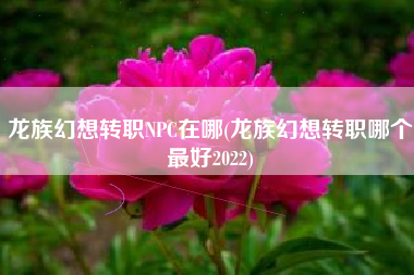 龙族幻想转职NPC在哪(龙族幻想转职哪个最好2022)