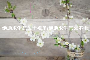 绝地求生怎么卡视角(绝地求生怎么不卡)