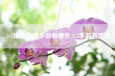 5v5推塔游戏手游有哪些,5v5手游有哪些