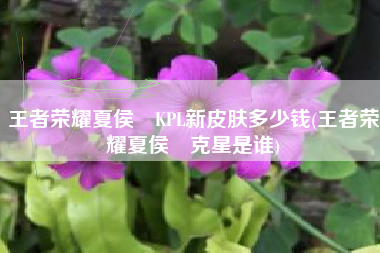 王者荣耀夏侯惇KPL新皮肤多少钱(王者荣耀夏侯惇克星是谁)