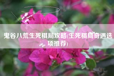 鬼谷八荒生死棋局攻略(生死棋局奇遇选项推荐)